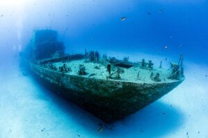 Plongée au coeur de la Méditerranée