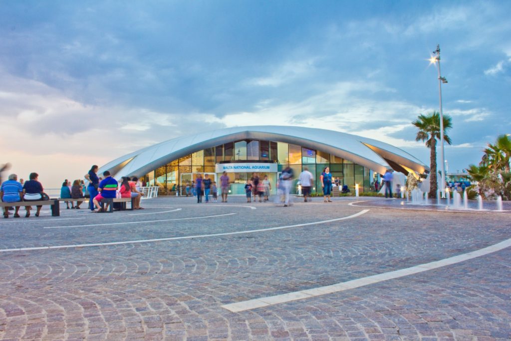 Aquarium national de Malte enfants