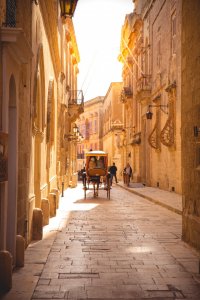 Mdina-malte©david-alfons