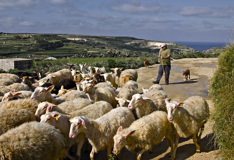 Agriculture et industrie