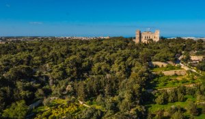 verdala-aerial-view-33