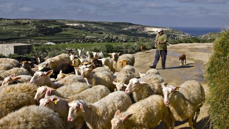 Agriculture et industrie
