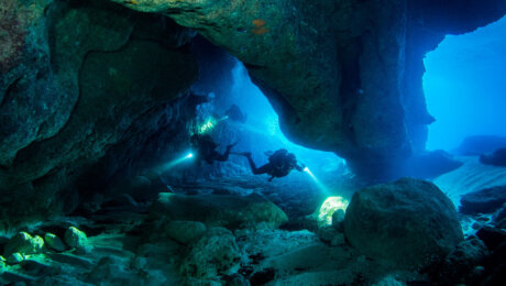 Niveau 1* Diver avec la Fédération Française