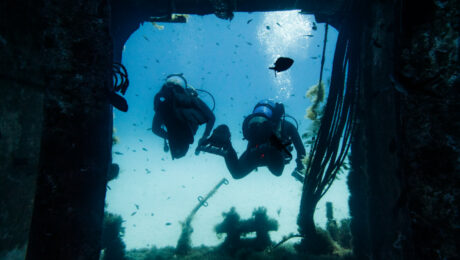 6 dives packages