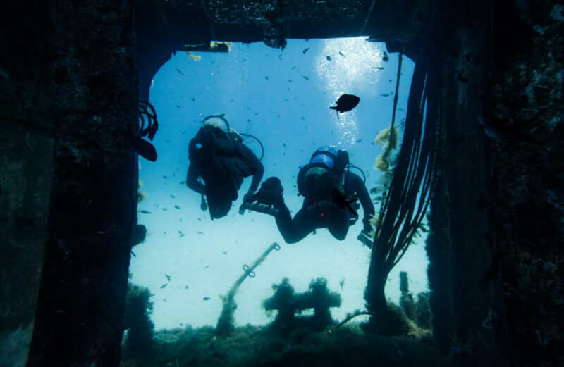 6 dives packages